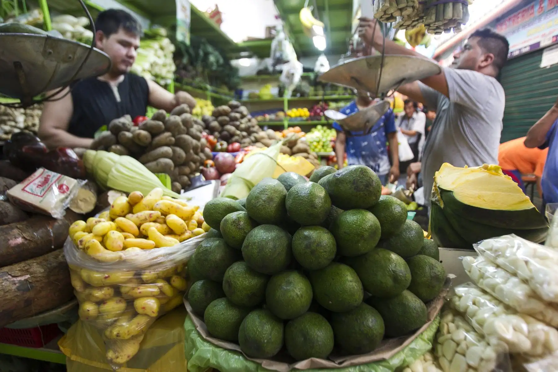 Palta. Perú es el segundo mayor exportador mundial de palta fresca, después de México y sobre Chile, según el Mincetur. En el 2017, exportó palta fresca por US$ 577 millones, 45% más que en el 2016. Foto: EFE