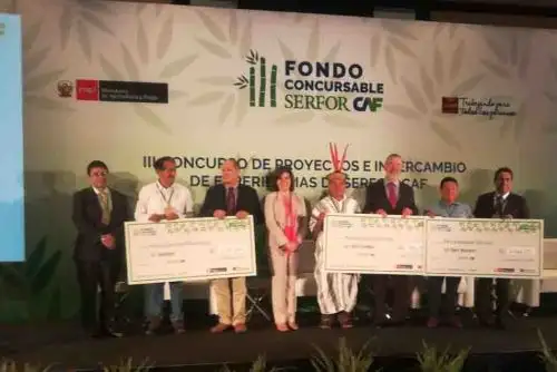 Un total de 1,986 hectáreas de bosques amazónicos serán recuperados en los próximos años mediante proyectos de recuperación y protección de cuencas y ecosistemas degradados, ecoturismo y uso sostenible de recursos forestales no maderables y de fauna silvestre en ocho regiones del Perú.