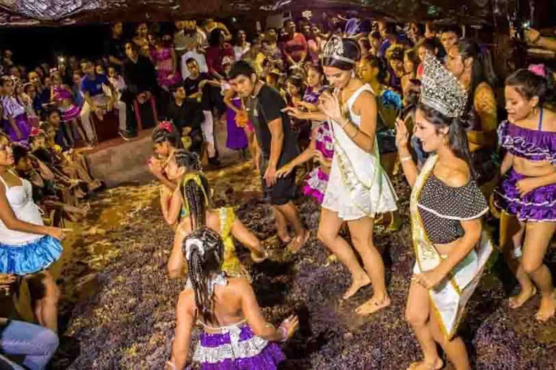 Turistas disfrutan de la pisa de la uva en la Vendimia de Ica. ANDINA/Difusión