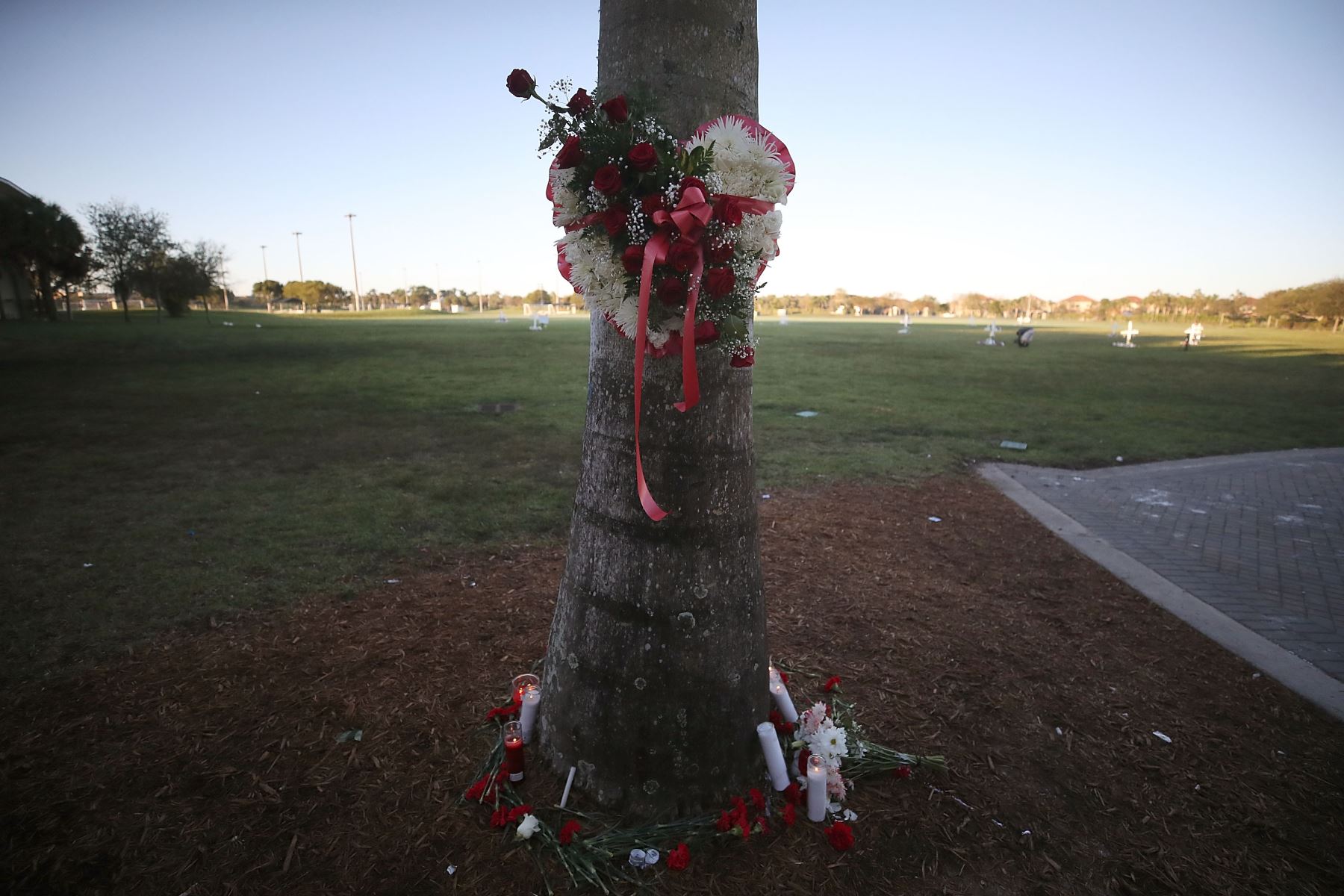 Flores y velas se colocan alrededor de una palmera para honrar a las víctimas del tiroteo masivo en una escuela de Parkland, Florida. Foto: AFP