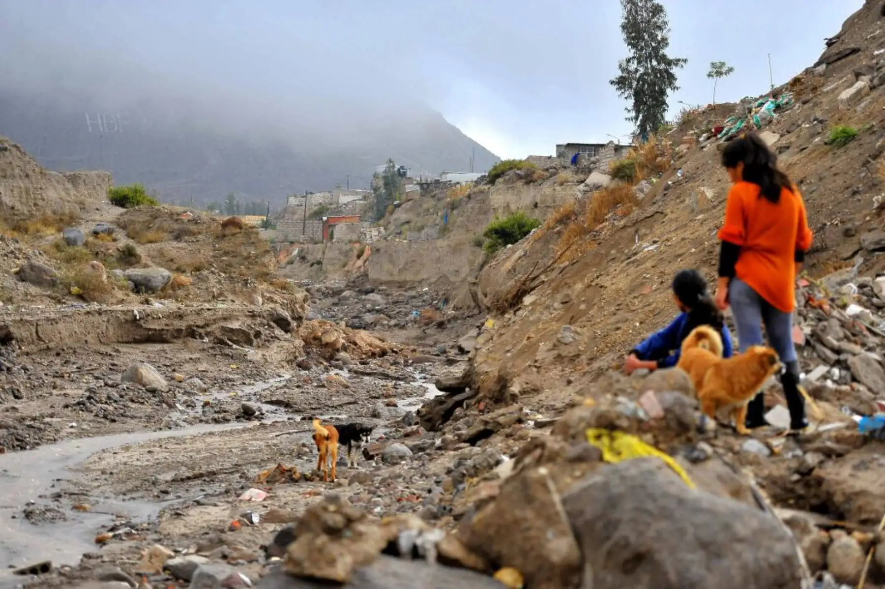 Intensas lluvias en Arequipa causaron la muerte de una persona, tras el ingreso de la torrentera de Añashuayco, en el distrito de Cerro Colorado . Foto: Cortesía Diego Ramos