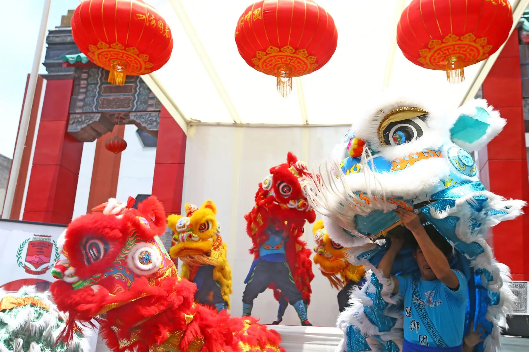 LIMA PERÚ - FEBRERO 16. El Barrio Chino le da la bienvenida al Año Nuevo Chino con danzas del dragón y el león. Foto: ANDINA/Melina Mejía