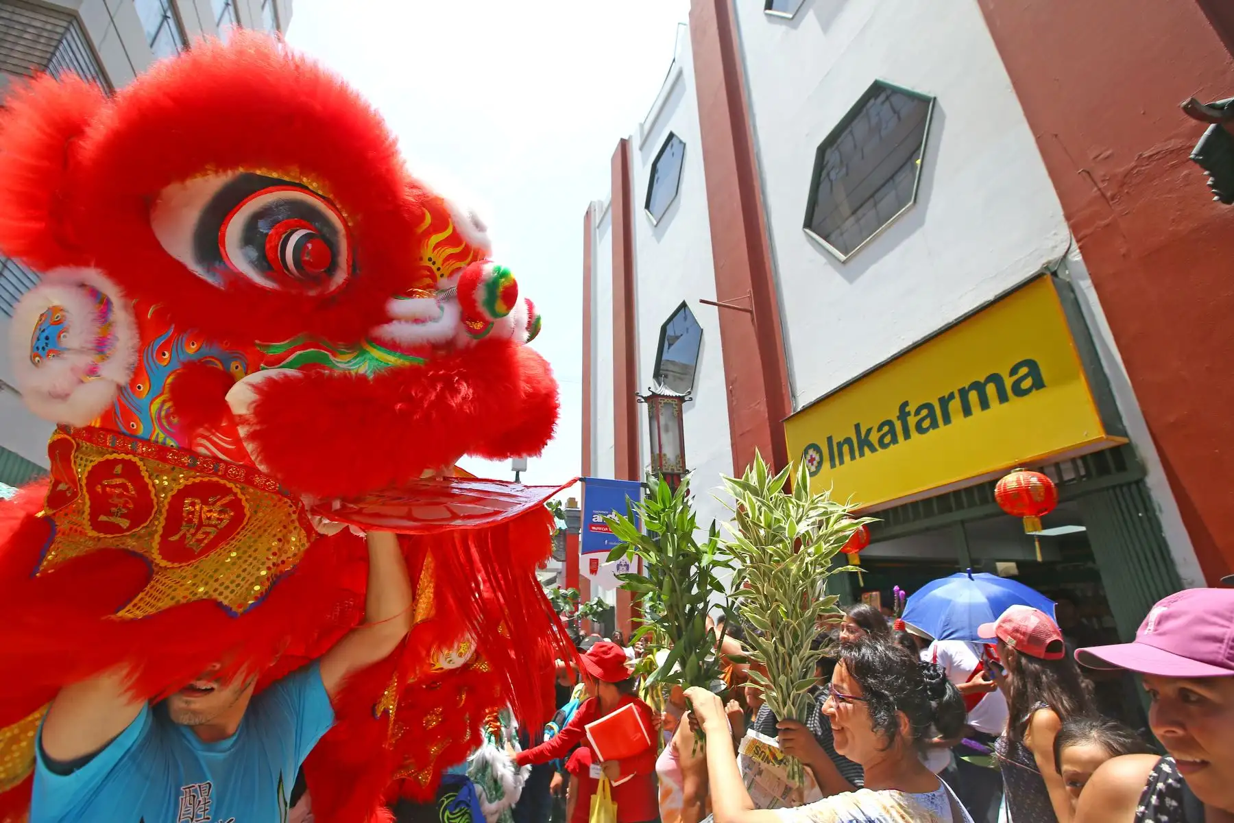 LIMA PERÚ - FEBRERO 16. El Barrio Chino le da la bienvenida al Año Nuevo Chino con danzas del dragón y el león. Foto: ANDINA/Melina Mejía