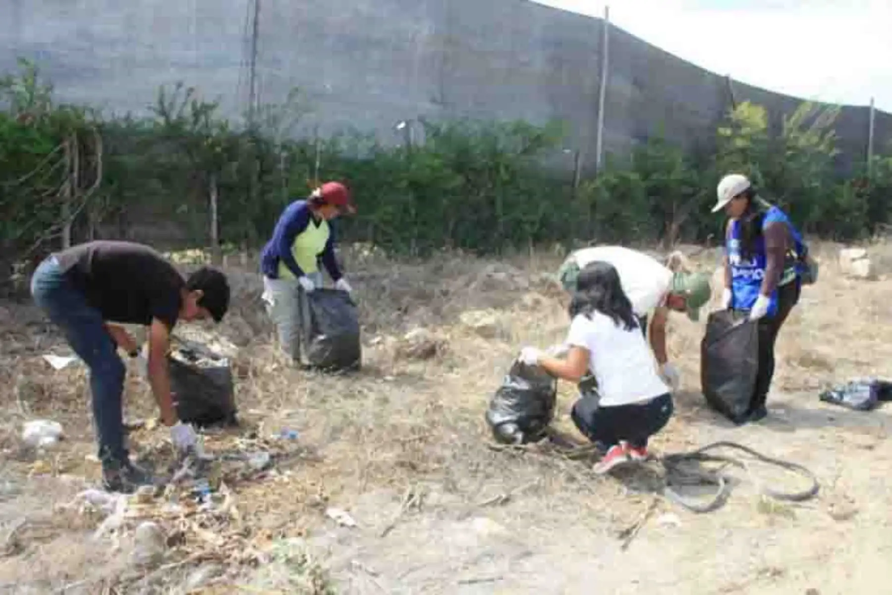 Diversos colectivos que conforman el Comité de Gestión del Santuario Histórico Bosque de Pómac, en la provincia de Ferreñafe, región Lambayeque, participaron en la campaña “Pómac limpio”, que permitió recolectar más de ocho metros cúbicos de residuos sólidos en esta área natural protegida.
