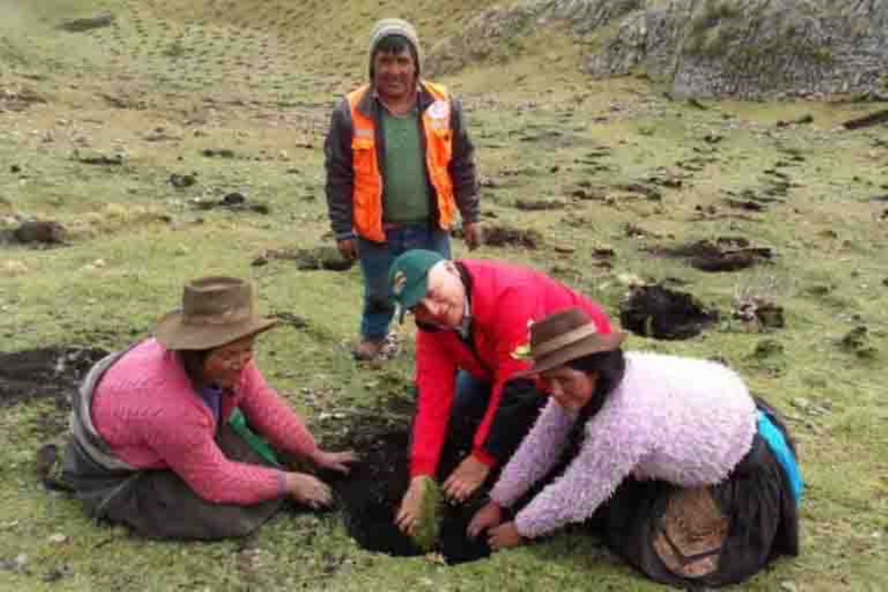 Mujeres de Huancavelica serán protagonistas de reforestación y agricultura familiar. ANDINA/Archivo
