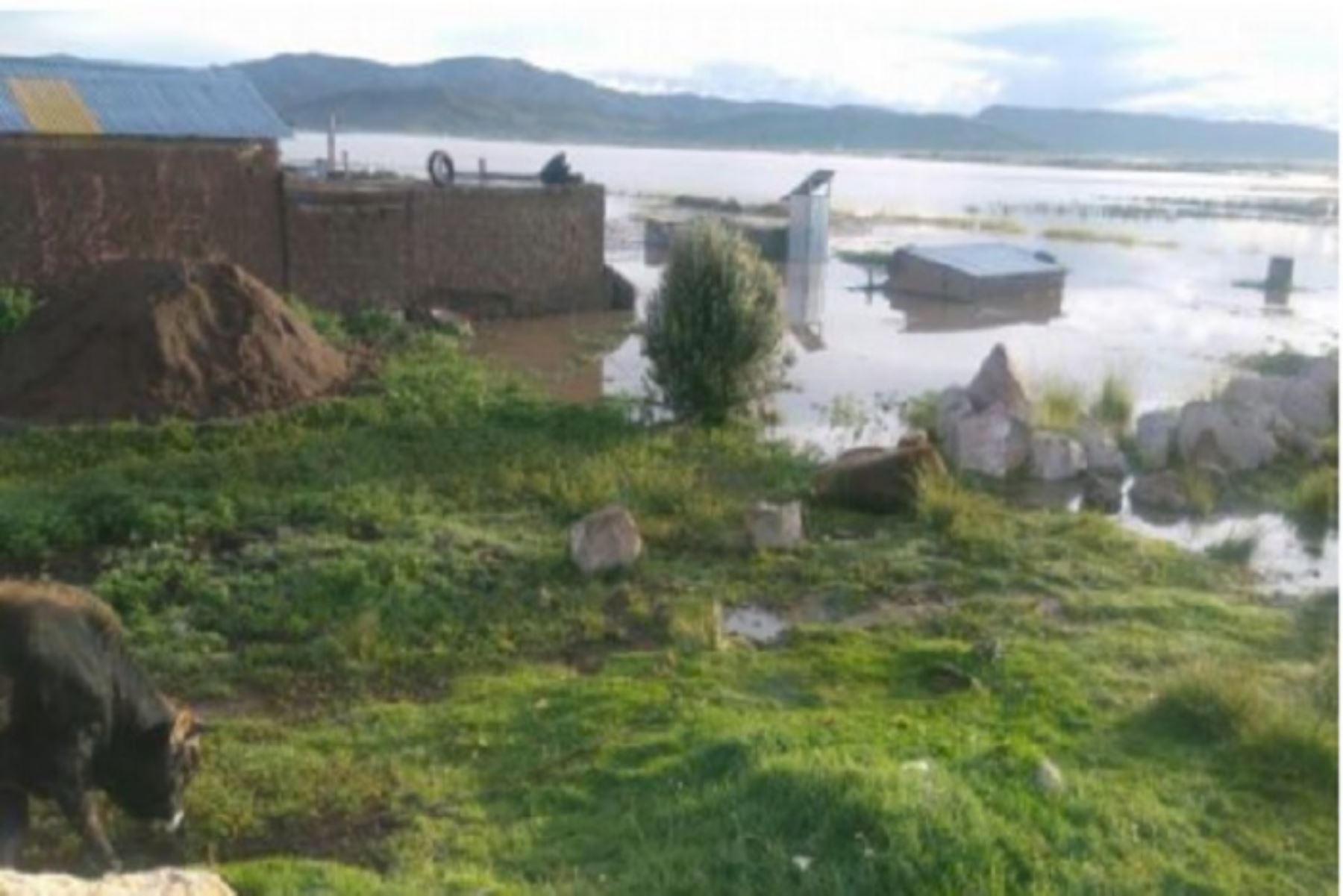 El centro poblado de llachahui también fue inundado por el río auxiliar. Se evacuaron a 40 personas.