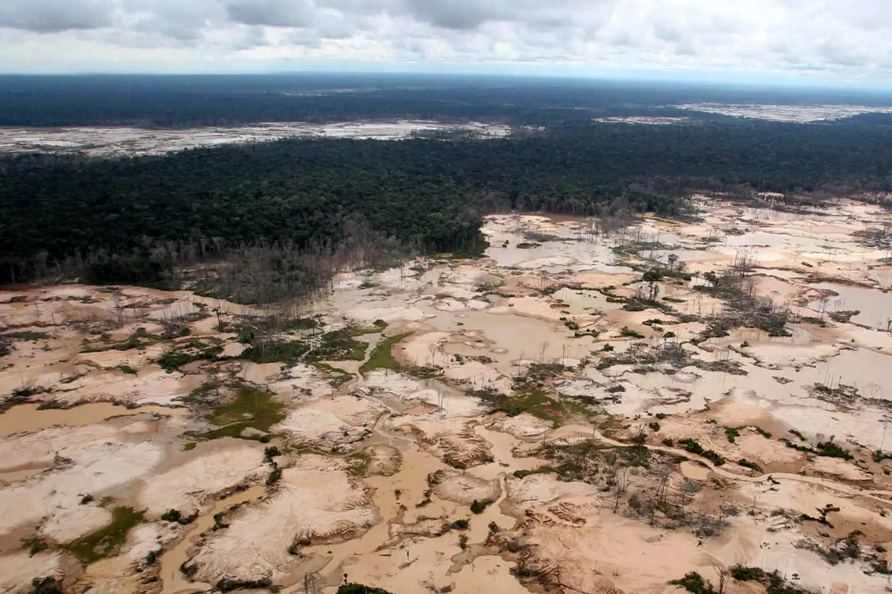 El Estado peruano está empeñado en una política nacional de rescate de Madre de Dios y sus habitantes. Foto: ANDINA/ Vidal Tarqui