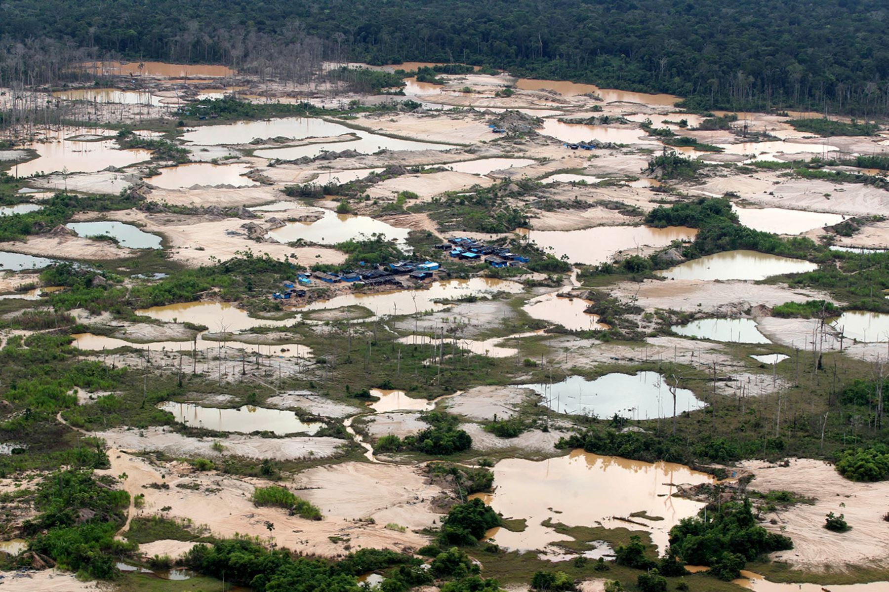 Minería ilegal: Para inicios del 2017, ya existían 759 hectáreas de bosques naturales de la Reserva Nacional de Tambopata afectadas por la minería ilegal.