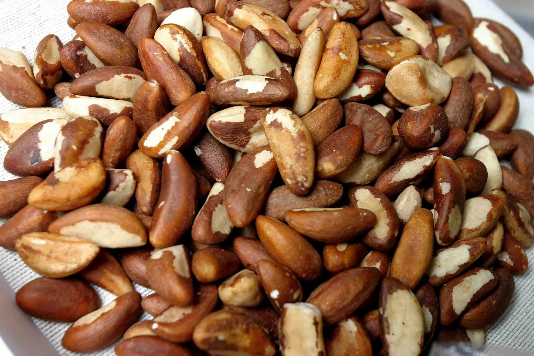 La producción en el 2017 fue de 237,144.5 kg de castaña pelada, lo que generó 4’509,679 soles.