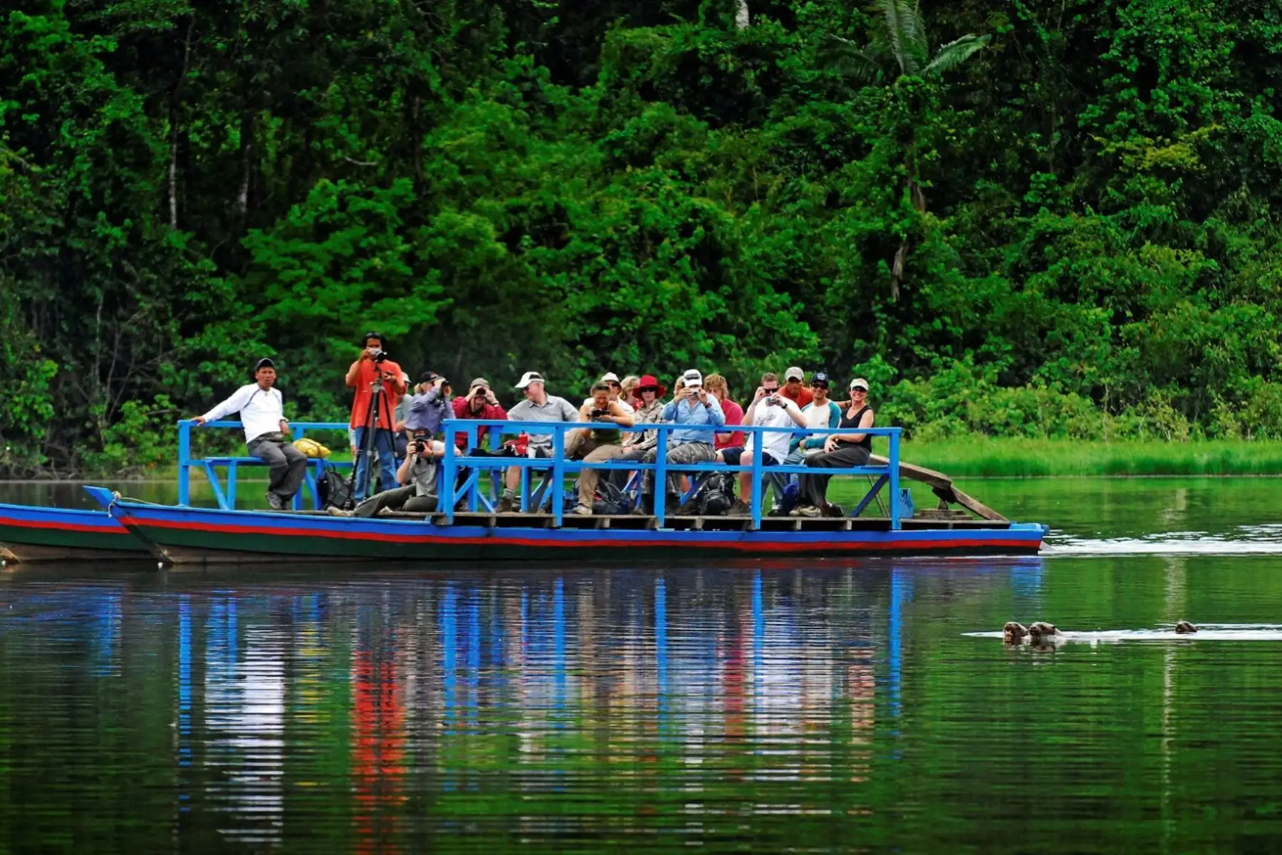 Según Sernanp, el 2017 ingresaron 59,567 turistas a áreas naturales protegidas en la región Madre de Dios.Foto: ANDINA/ Difusión