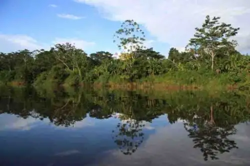 ANDINA/Difusión