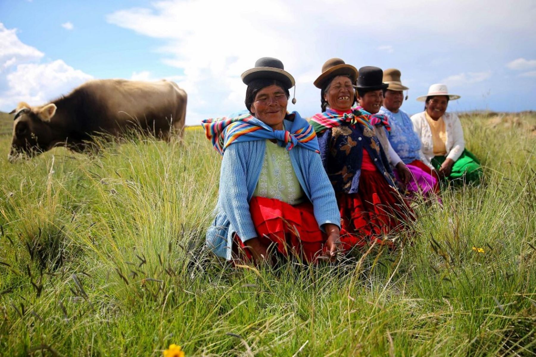 Pequeños ganaderos de la región Puno.