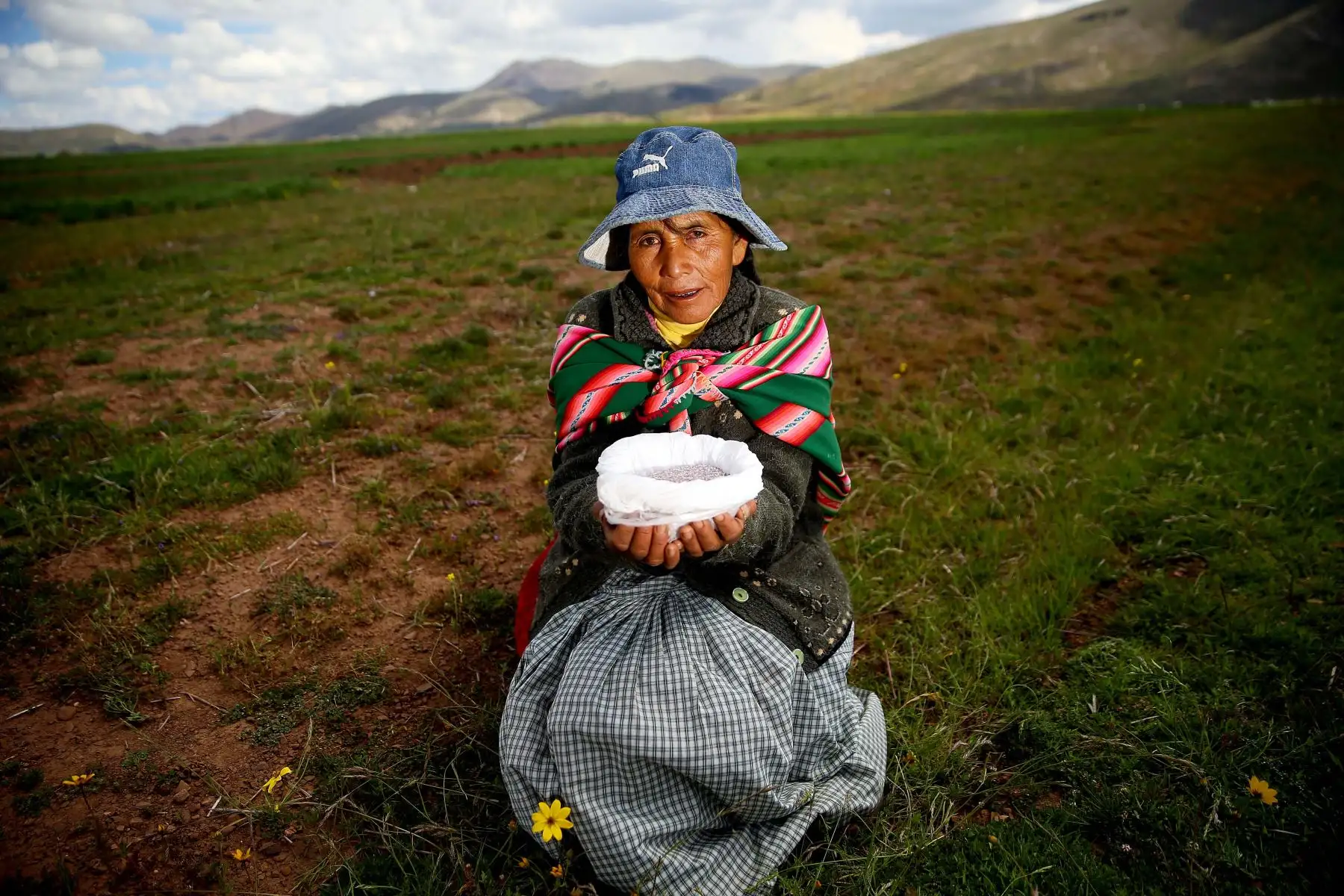 PUNO,PERÚ.FEBRERO 22. Aurelia Quispe (57) es una agricultora y ganadera Aymara que tiene su chacra en el distrito de Ácora, Puno. Foto:Andina/Luis Iparraguirre