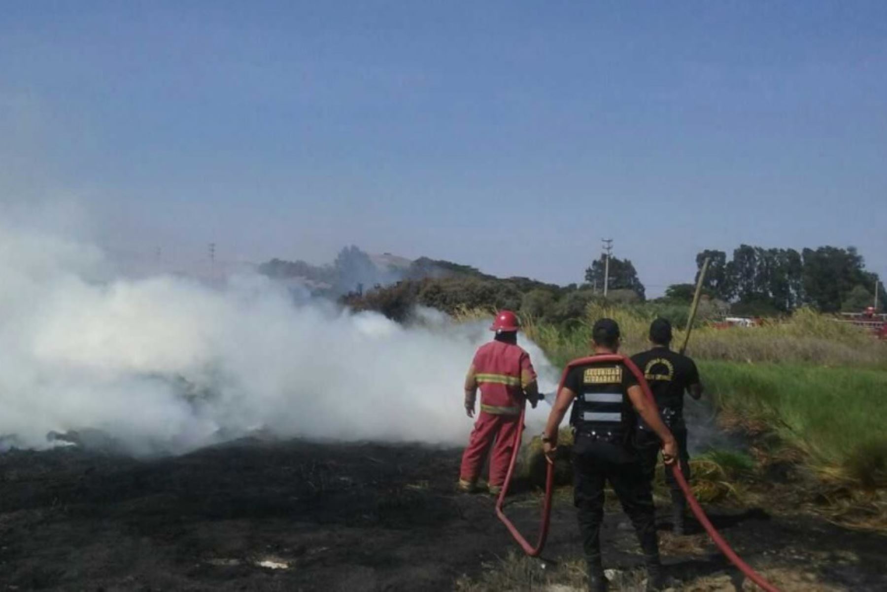 Bomberos y personal del Serenazgo municipal de Nuevo Chimbote controlaron hoy un incendio que destruyó parte de los pastizales de los pantanos de Villa María, ubicados a la entrada de la playa El Dorado, en la provincia ancashina del Santa.