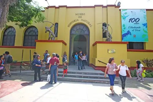 25/02/2018   El Museo de Historia Natural cumple 100 años. Foto: ANDINA/Melina Mejía
