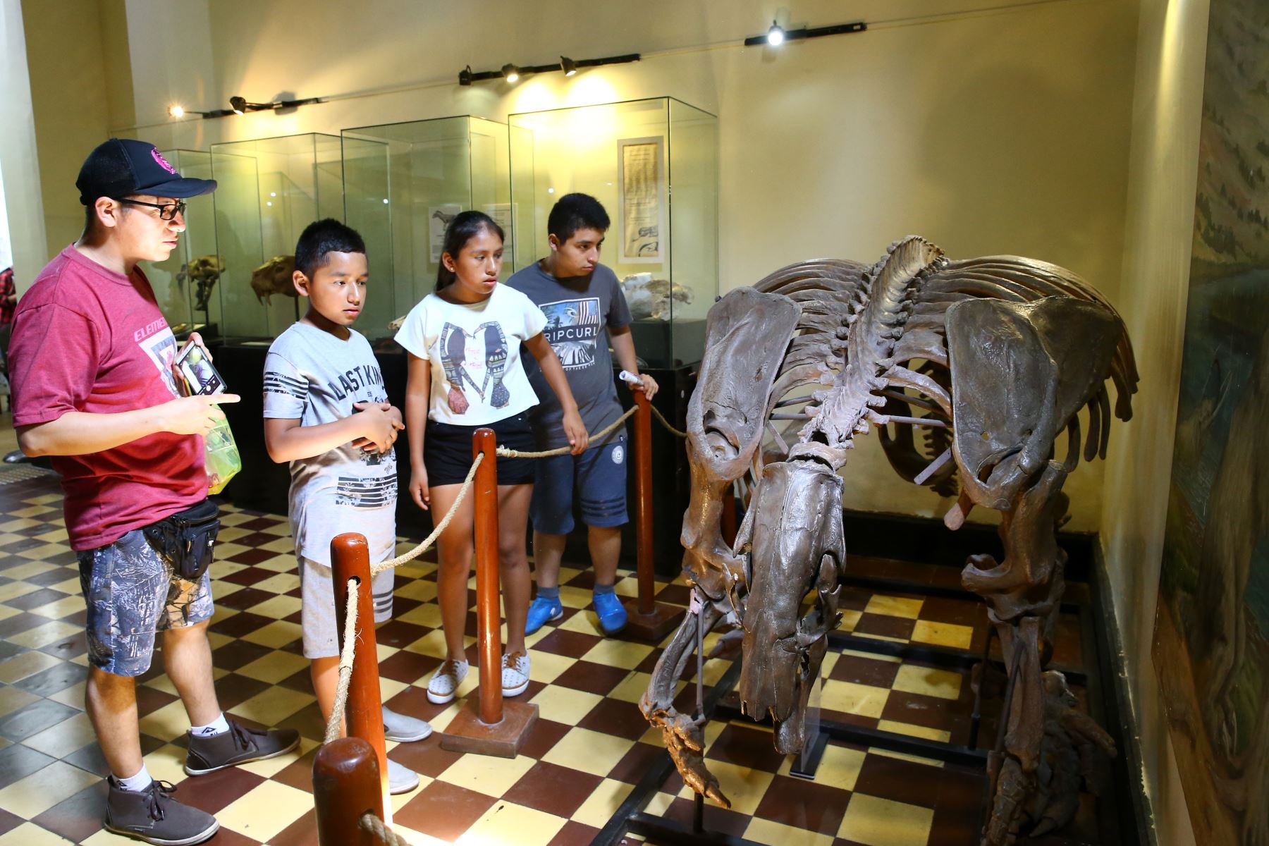 Las muestras del Museo de Historia Natural, que está  cumpliendo 100 años, causan la admiración del público visitante. Foto: ANDINA/Melina Mejía