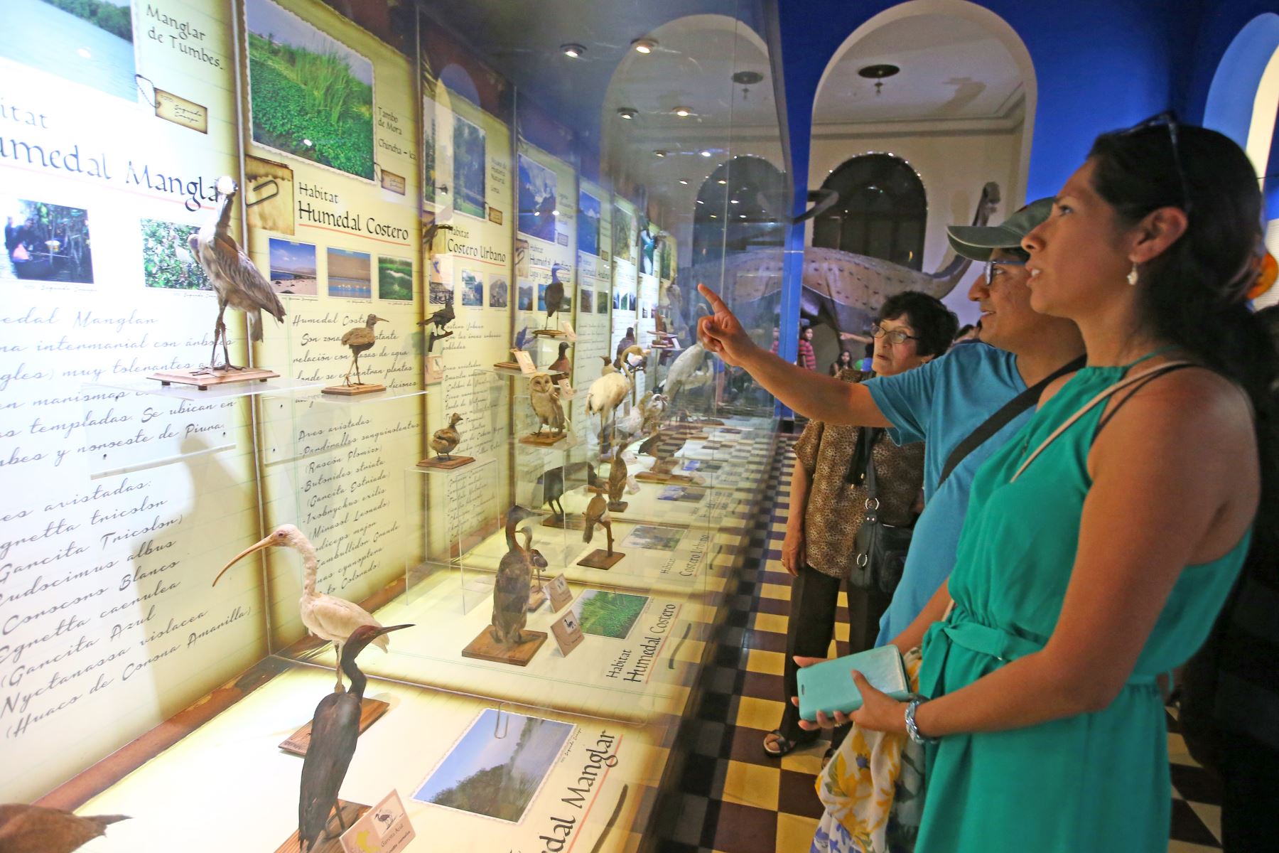 El Museo de Historia Natural cumple 100 años. Foto: ANDINA/Melina Mejía