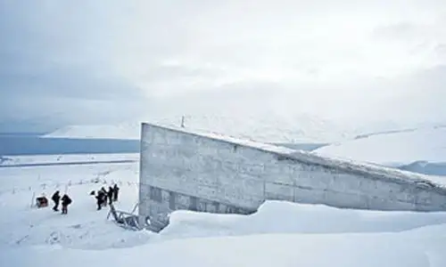 Reserva mundial de semillas de Svalbard. Foto: INTERNET/Medios