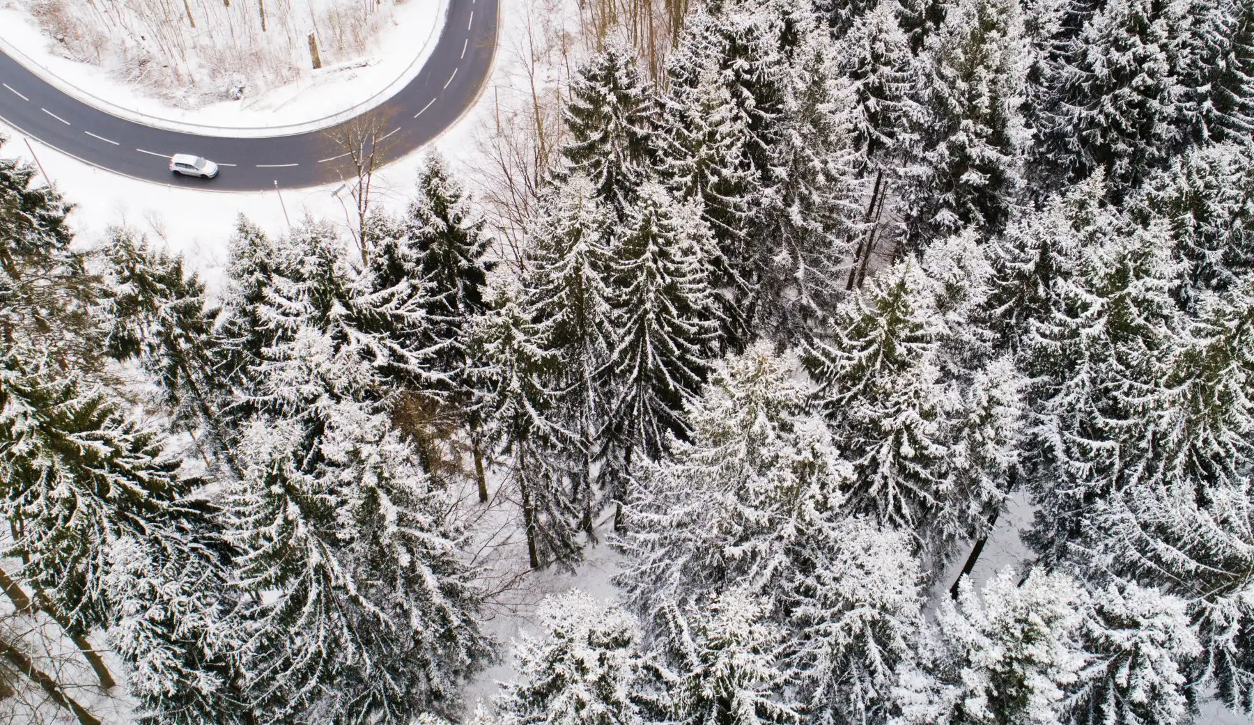 Un automóvil  circula a través de un bosque nevado en el distrito de Holzminden, Alemania. Foto: AFP