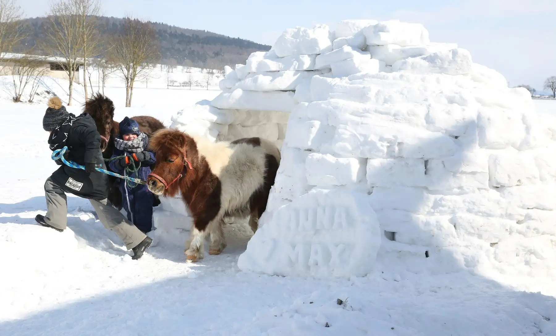 Anna y Max juegan con sus ponis en Langenenslingen al sur de Alemania. Foto: AFP