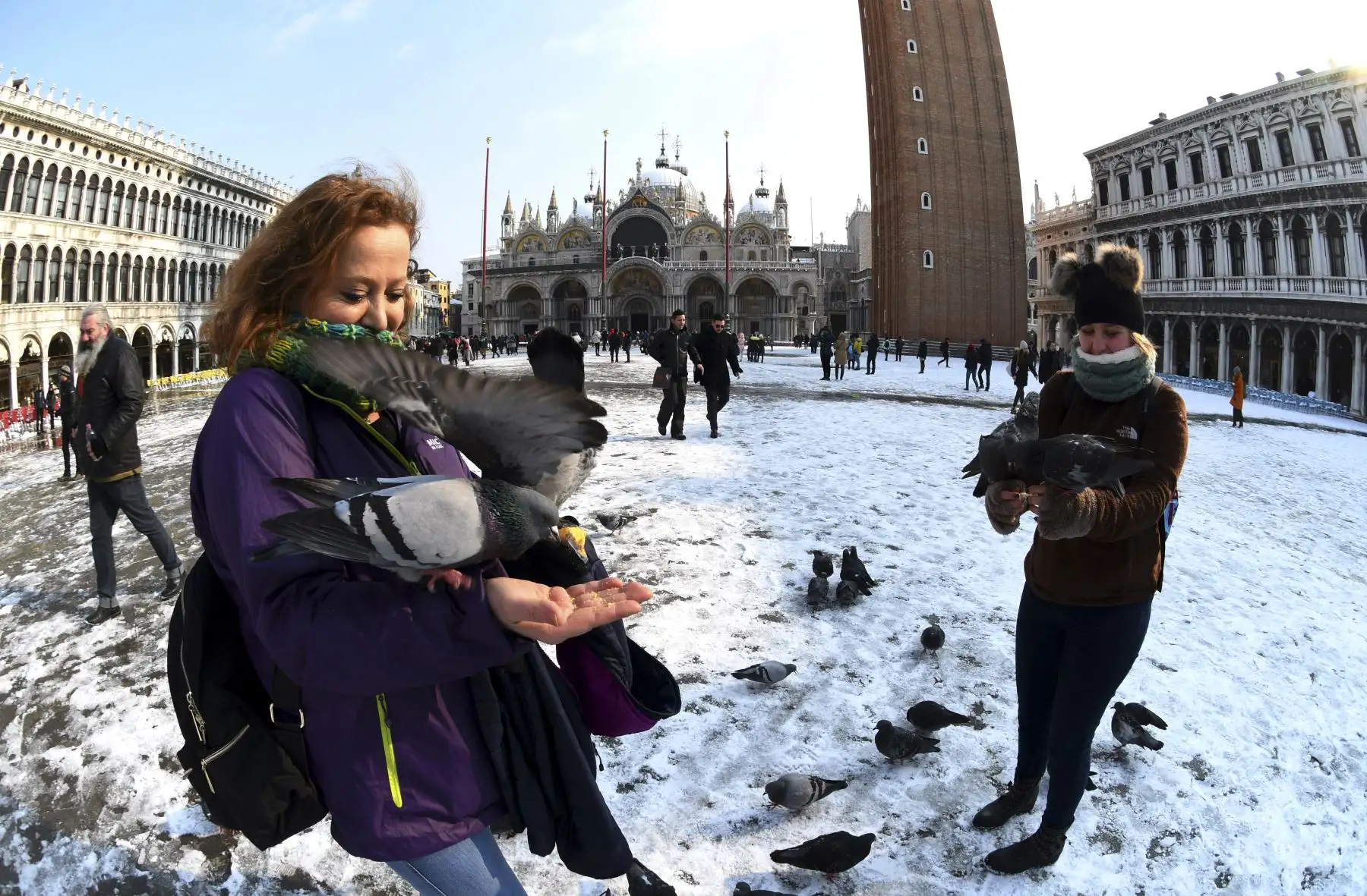 Turistas alimentan palomas en la plaza de San Marcos. Foto: AFP