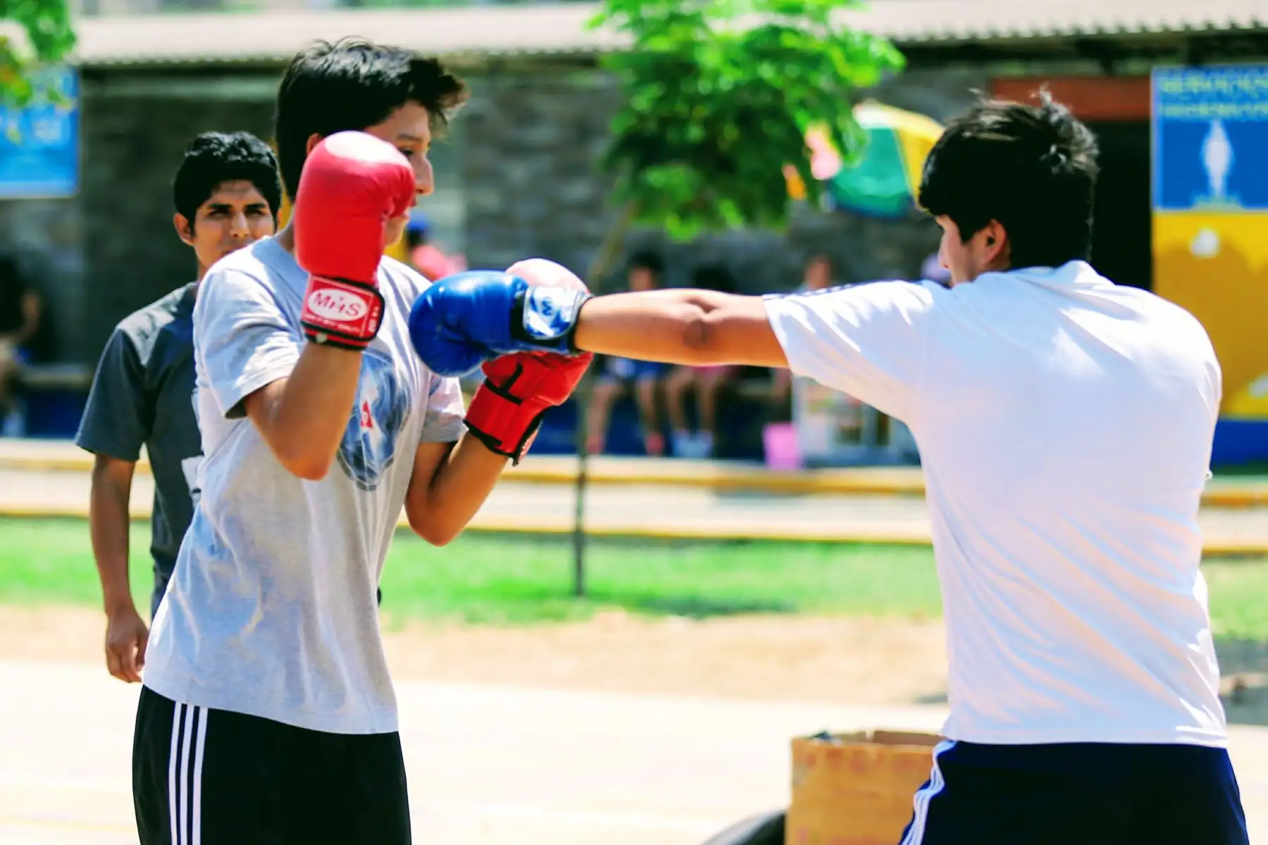 Las actividades se realizaron en espacios al aire libre y polideportivos. Foto:Andina/Luis Iparraguirre