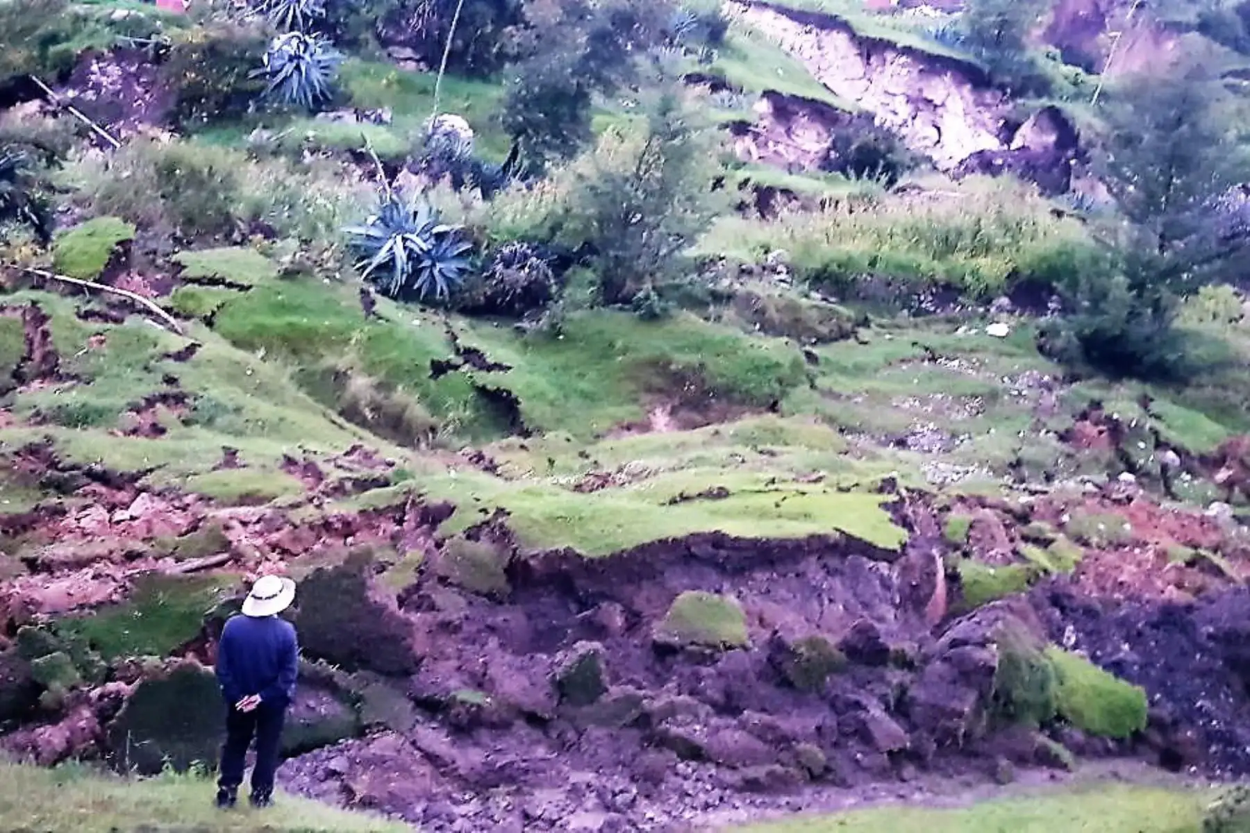 Afectados por falla geológica en Cusco piden ayuda humanitaria. ANDINA