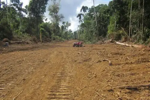 Gobierno no permitirá construcción de carreteras en parques nacionales y reservas indígenas. ANDINA/archivo