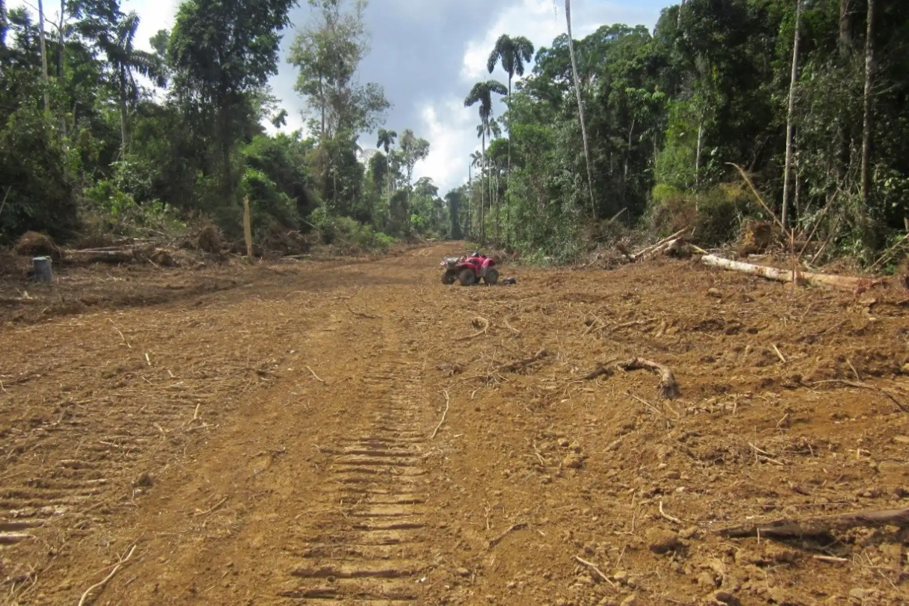 Gobierno no permitirá construcción de carreteras en parques nacionales y reservas indígenas. ANDINA/archivo
