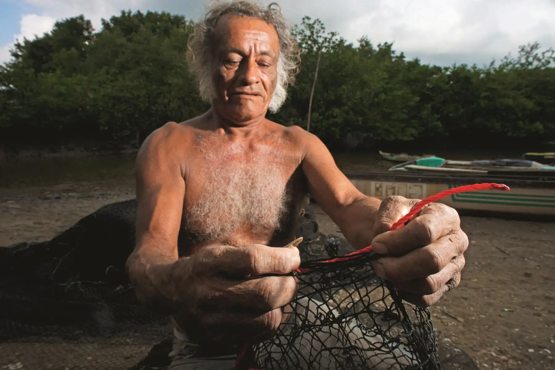 El manglar es un tipo de ecosistema de zonas tropicales que toma su nombre del mangle, un árbol adaptado fisiológica y anatómicamente a las aguas con mucha salinidad y que crece solo en lugares inundados alternadamente por el mar y la desembocadura de alguna fuente de agua dulce.
Foto: Sernanp/Walter Wust