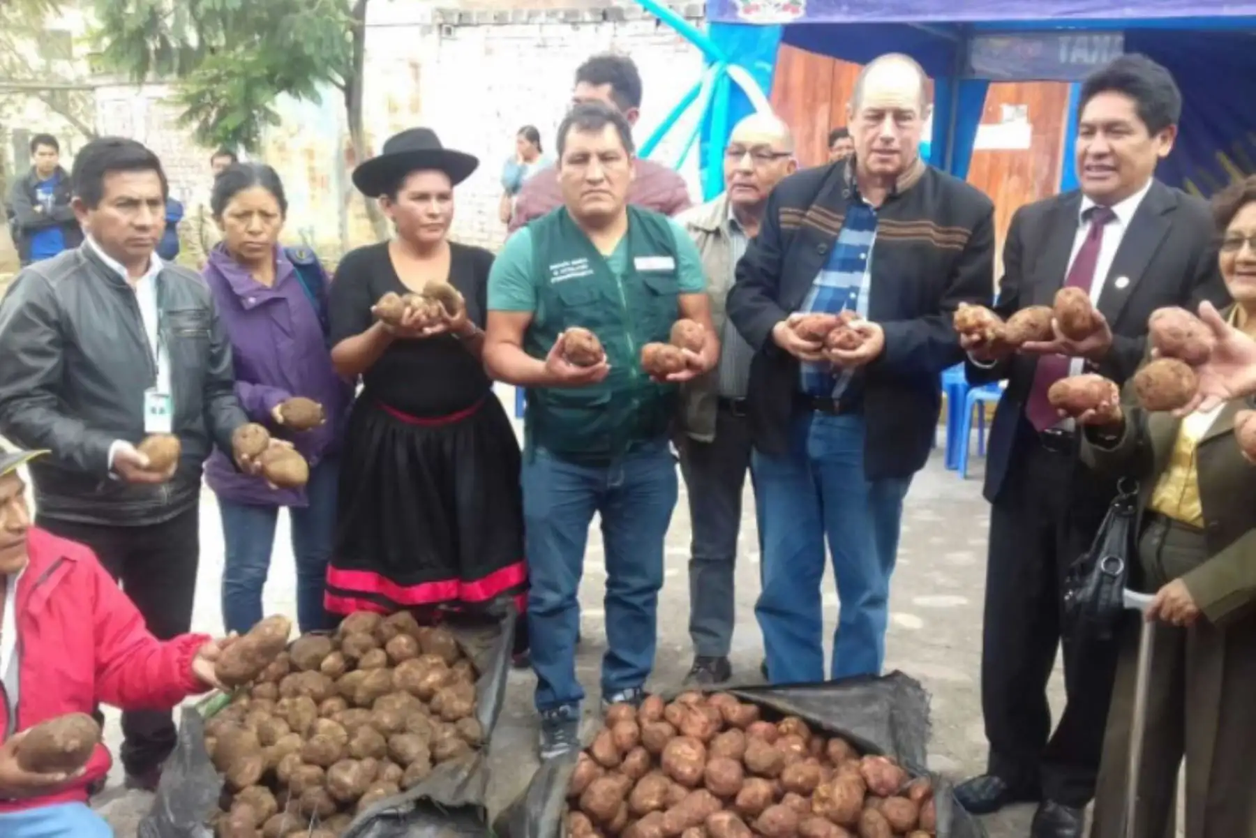 Asilos de ancianos, así como los puericultorios de la región de Huánuco, que albergan y protegen a niños abandonados, así como instituciones de ayuda a niñas y madres abandonadas, recibieron la donación de papa adquirida por el Ministerio de Agricultura y Riego (Minagri) a través de Agro Rural a los pequeños agricultores.