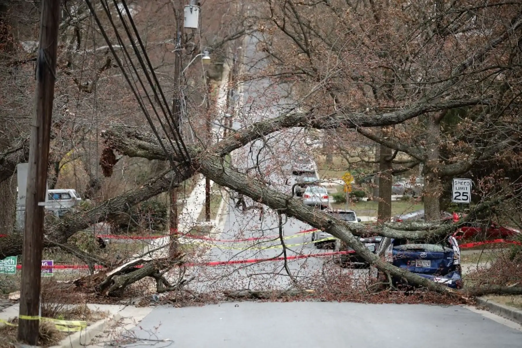 Una gran tormenta invernal sacudió la costa este de Estados Unidos, azotando fuertes vientos y derribando árboles. Foto:AFP