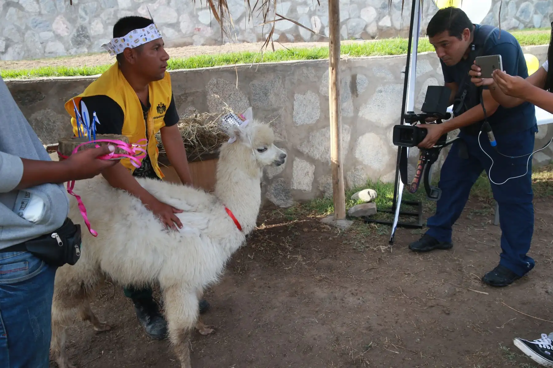 Murallito posa para las cámaras al cumplir sus seis meses, en el parque  La Muralla. Foto: ANDINA/Norman Córdova.