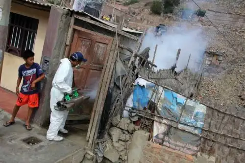 La labor de fumigación se extenderá hasta el próximo 14 marzo.