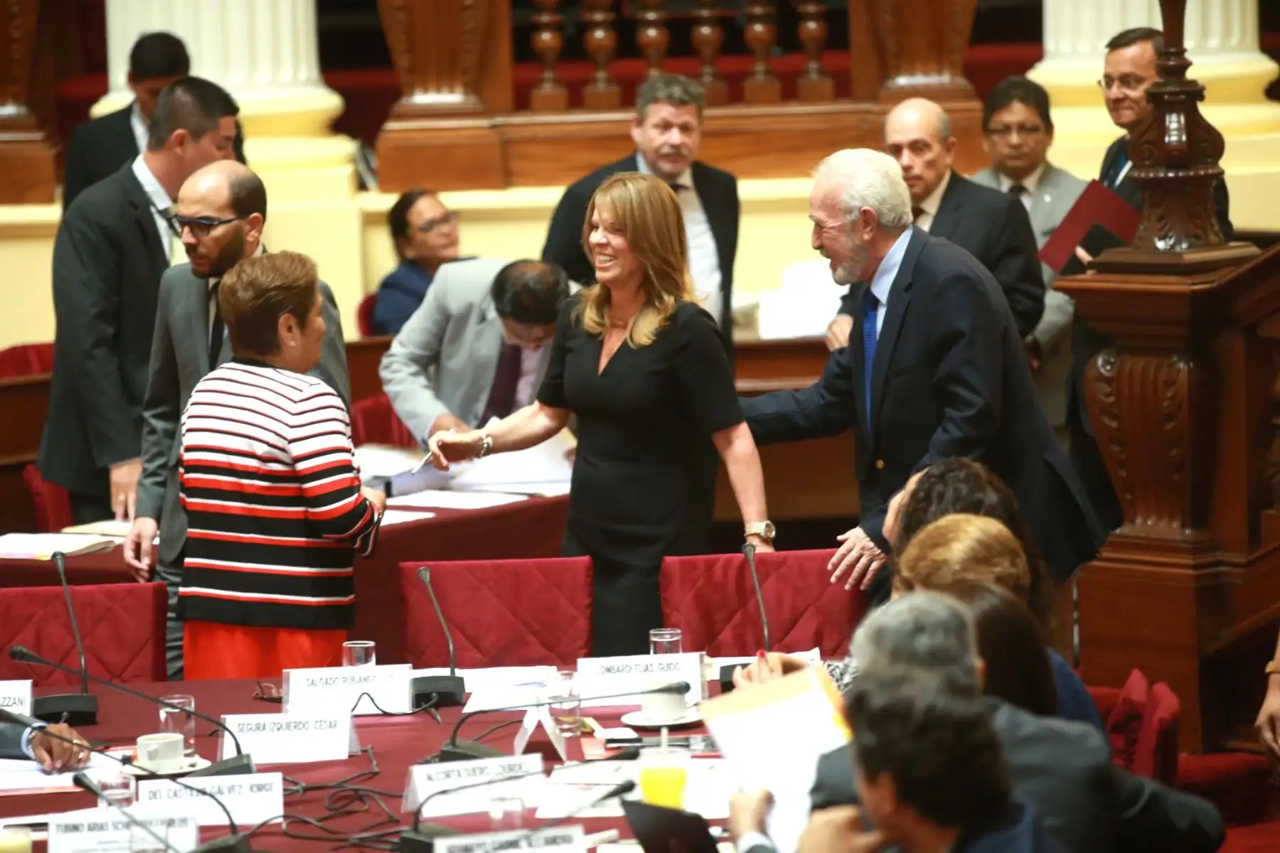 Canciller Cayetana Aljovín asiste a la Comisión de Relaciones Exteriores del Congreso. Foto: ANDINA/Jhony Laurente.