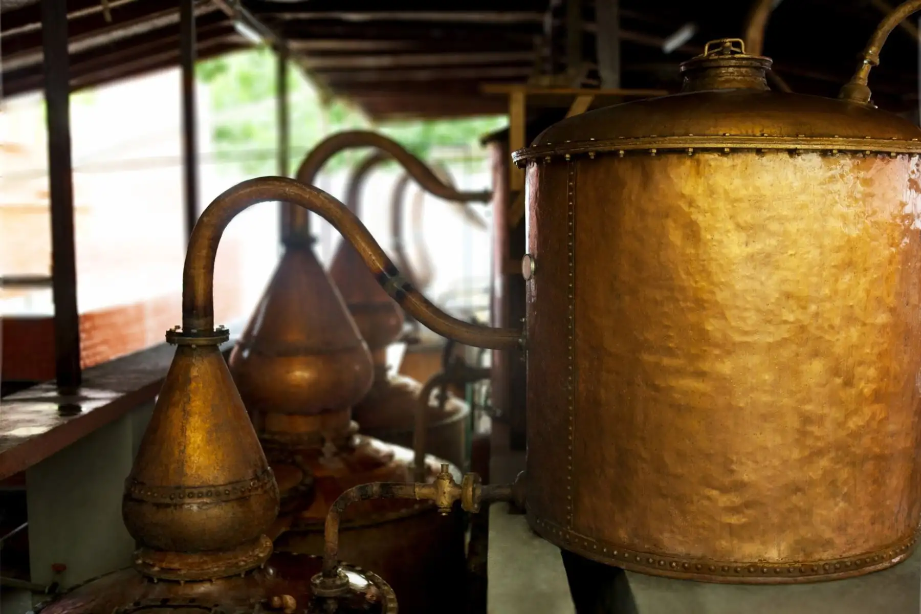 La bodega Vista Alegre es otro viñedo de Ica donde se vive la tradición. Los visitantes apreciarán de su hermosa infraestructura y maquinaria para la elaboración de pisco y vino de hace décadas. Foto: Promperú/Gihan Tubbeh