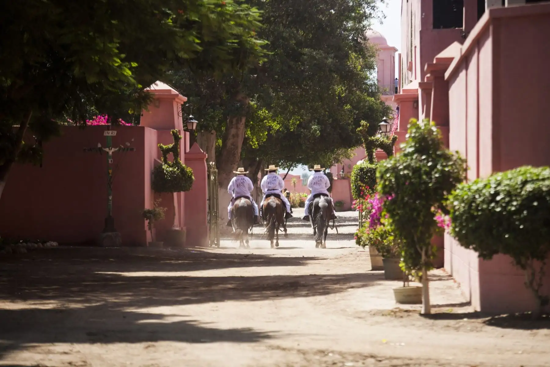 Como para afianzar nuestra identidad peruana, los anfitriones ofrecen a los afortunados visitantes un espectáculo de caballos peruano de paso al ritmo de la marinera norteña.
Foto: Promperú/Daniel Silva