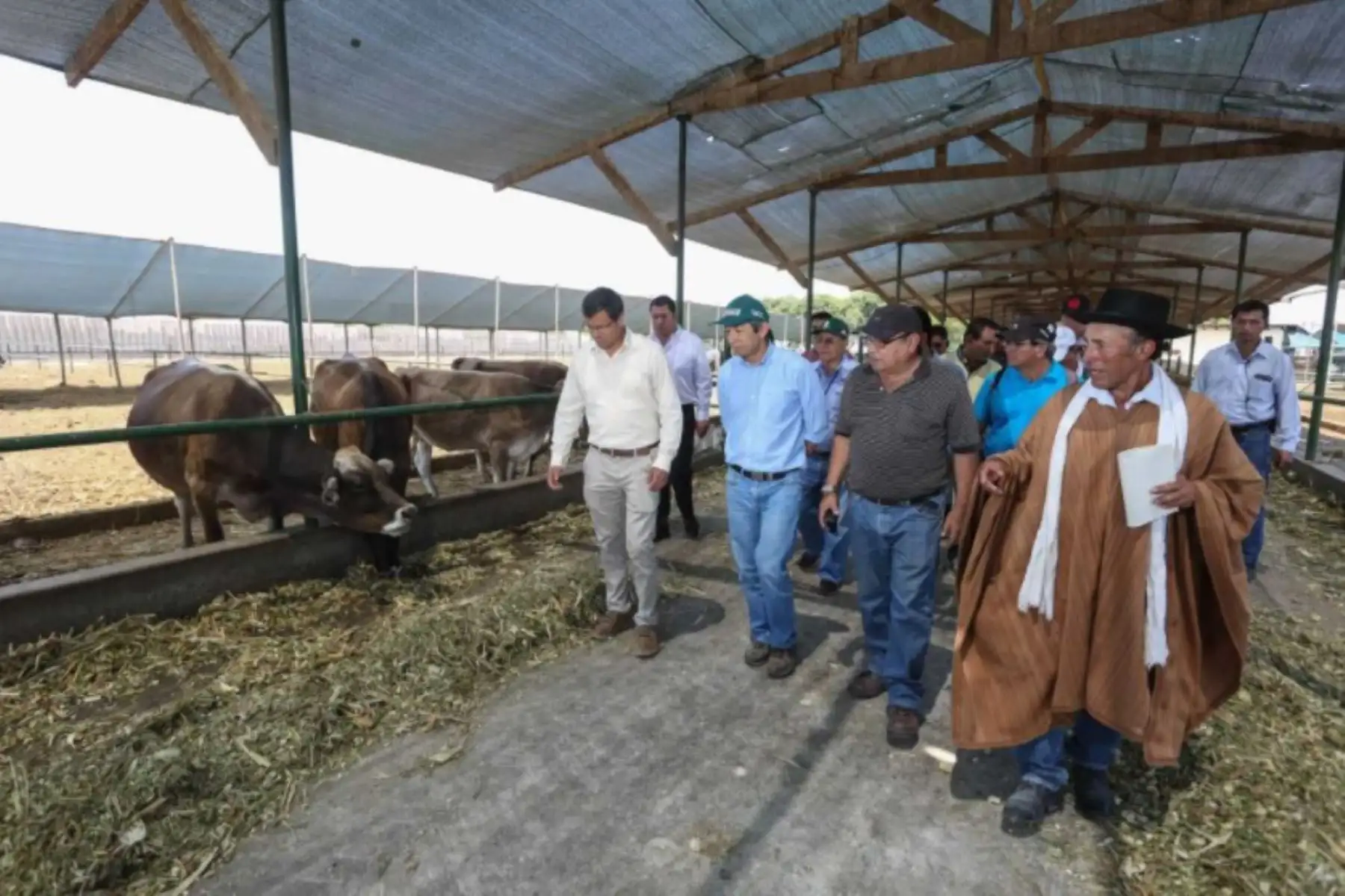 Para potenciar la ganadería lechera y la producción de carne, el ministro de Agricultura y Riego, José Arista, entregó hoy en Huaral pajillas de semen y embriones de ganado vacuno, genéticamente mejorados y de calidad, en favor de pequeños criadores de Ayacucho, Cajamarca, Puno, San Martín y Pasco.