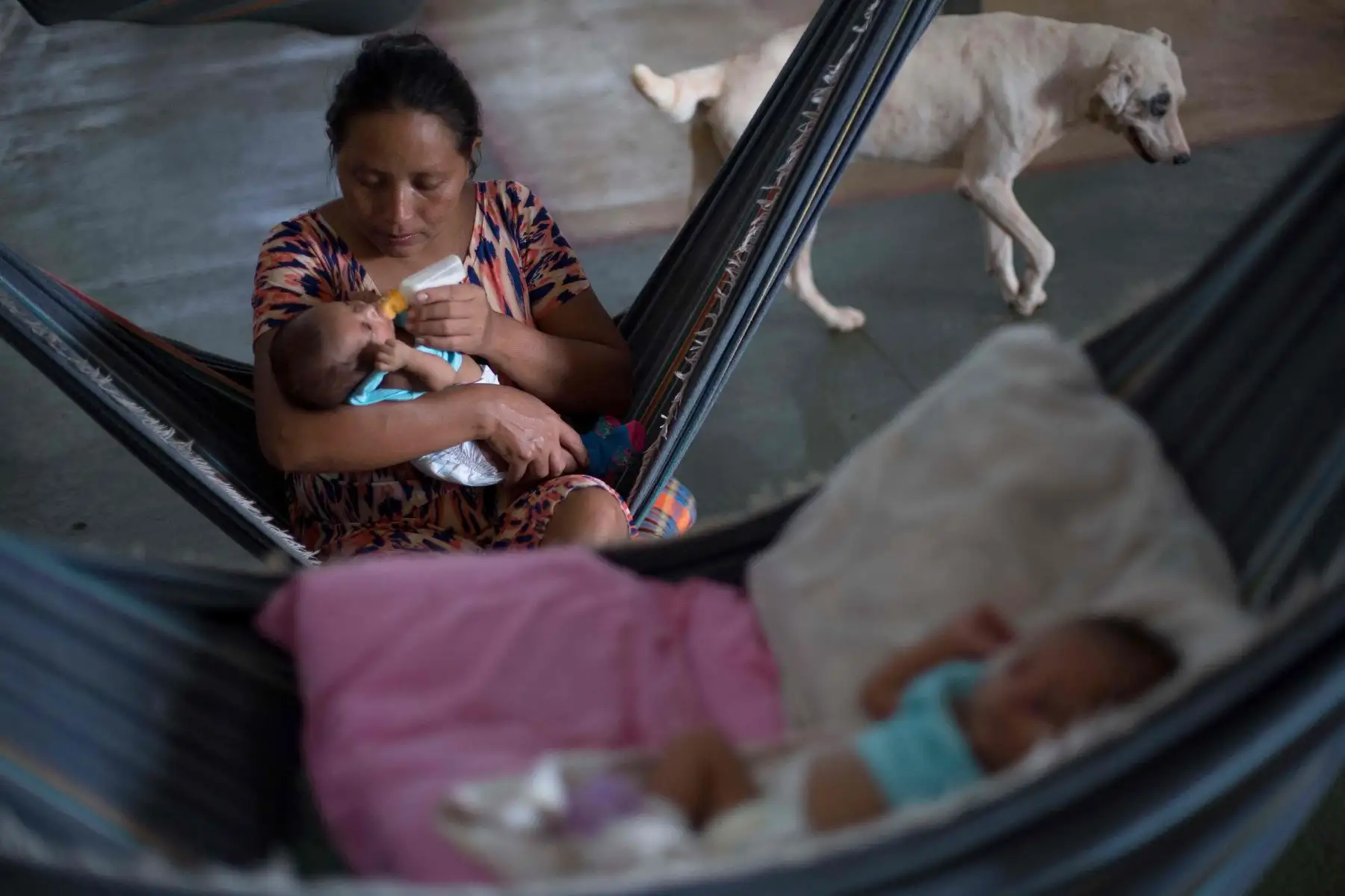 Venezolanas llegan a Brasil para dar a luz. Foto: AFP.