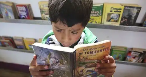 Niño leyendo. Foto: ANDINA/Melina Mejía.