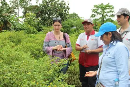 FAO verifica avances en la lucha contra la pobreza en Loreto. ANDINA/Difusión