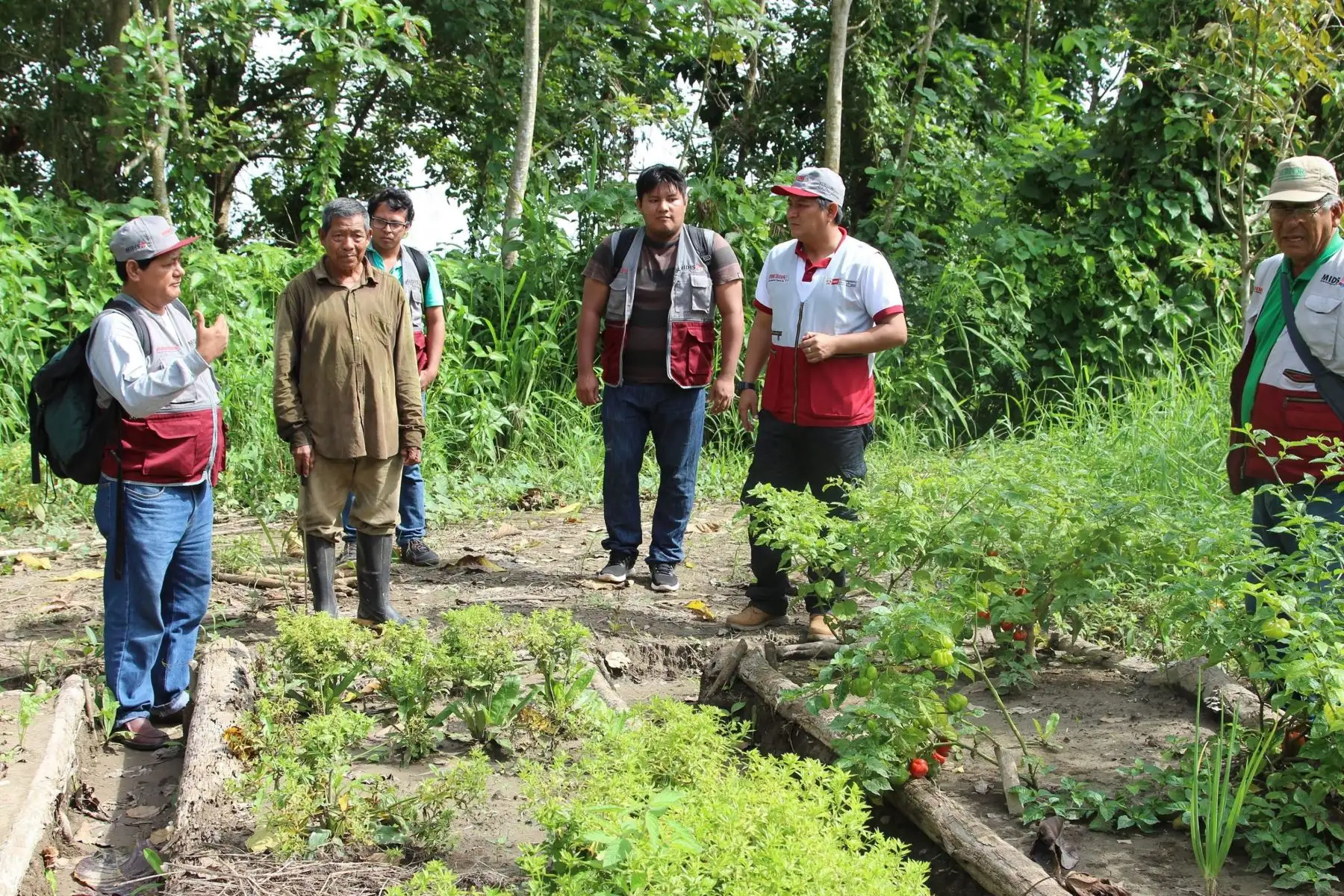 Midis intensifica lucha contra desnutrición y anemia en la Amazonía. ANDINA/Difusión