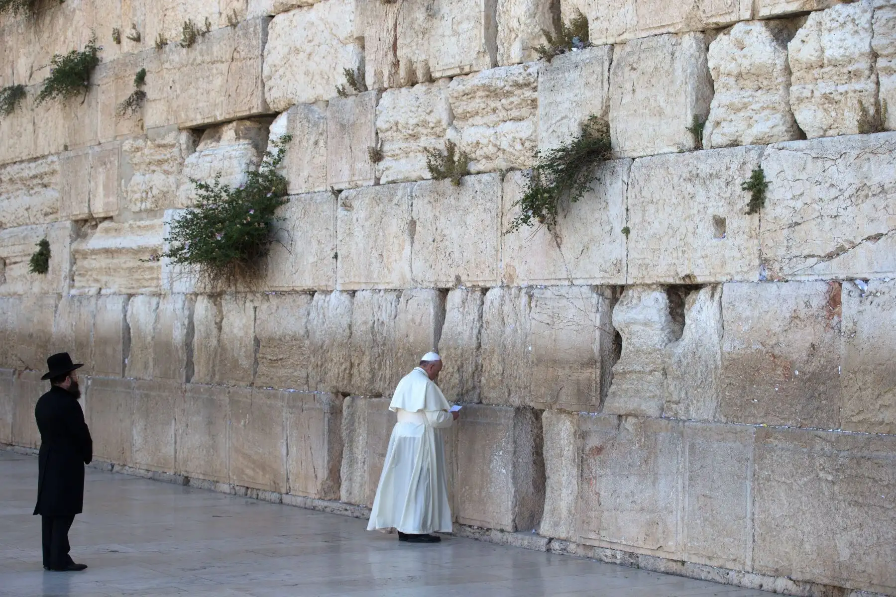 Papa Francisco reza ante el muro de los lamentos en Jerusalén. Foto: AFP