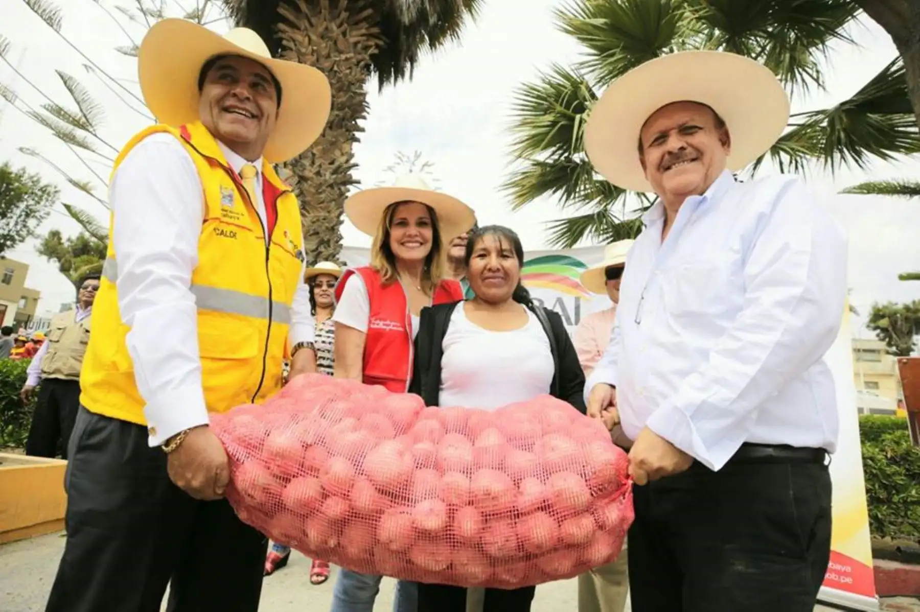 Agro Rural entrega 49 toneladas de papa adquirida a agricultores de Arequipa. ANDINA