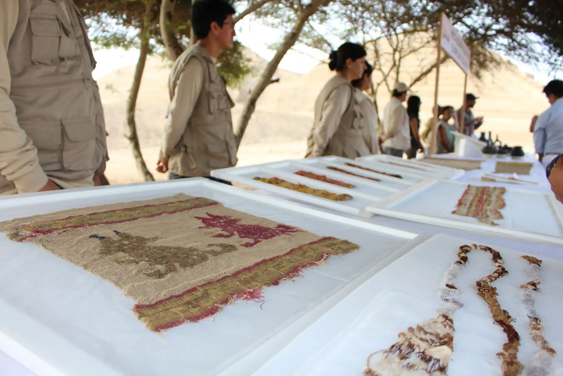 Durante los procesos de investigación en la huaca Toledo también se han hallado cerámica entera y fragmentada, pieza de madera como un pala chichera y textiles con decoraciones de aves pescando, que refuerzan la teoría que los chimú representaban su entorno. ANDINA/Luis Puell