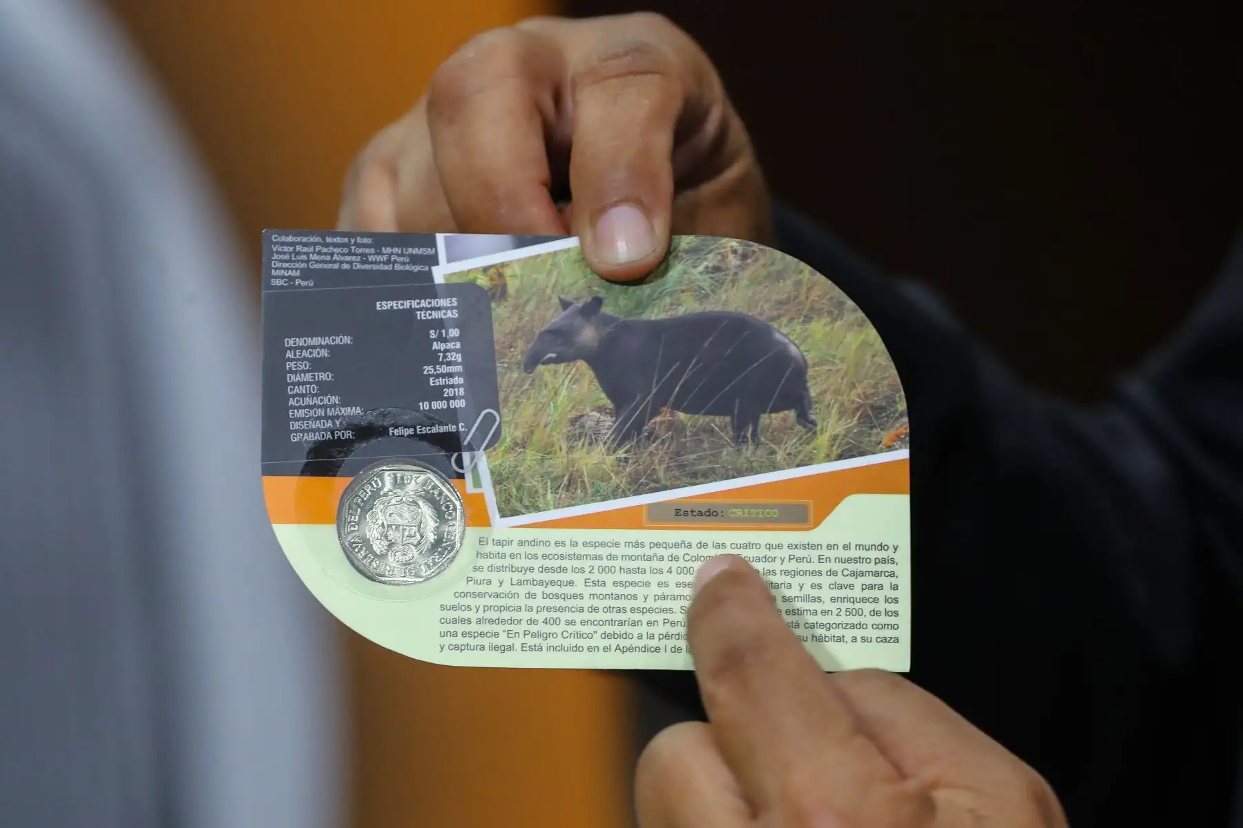 El Banco Central de Reserva del Perú pone en circulación a partir de hoy la cuarta moneda de la serie numismática "Fauna silvestre amenazada del Perú", alusiva al tapir andino. Foto: ANDINA/Andrés Valle.