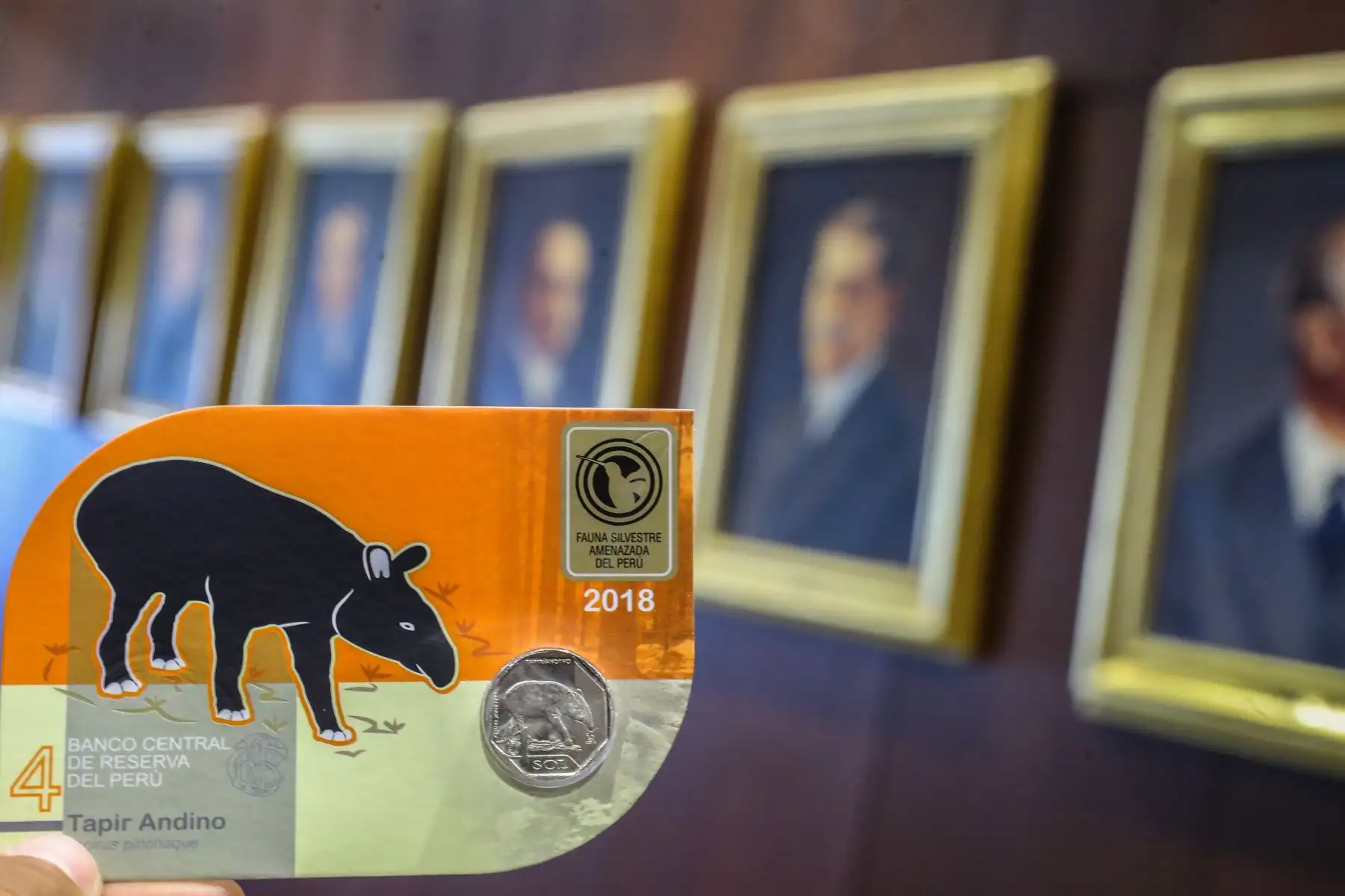 El Banco Central de Reserva del Perú pone en circulación a partir de hoy nueva moneda de S/ 1, alusiva al tapir andino. Foto: ANDINA/Andrés Valle.