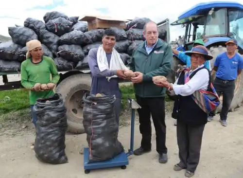 El Ministerio de Agricultura y Riego (Minagri), en cumplimiento al Decreto de Urgencia 002-2018, viene comprando hasta la fecha en la región Apurímac 6,357 toneladas de papa a los pequeños y medianos agricultores afectados por un excedente en su producción.