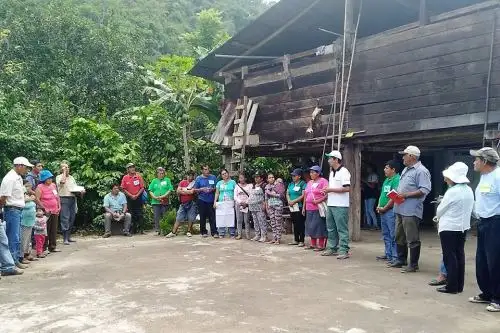 Más de 400 familias de Satipo se benefician con producción de cacao orgánico. ANDINA/Difusión
