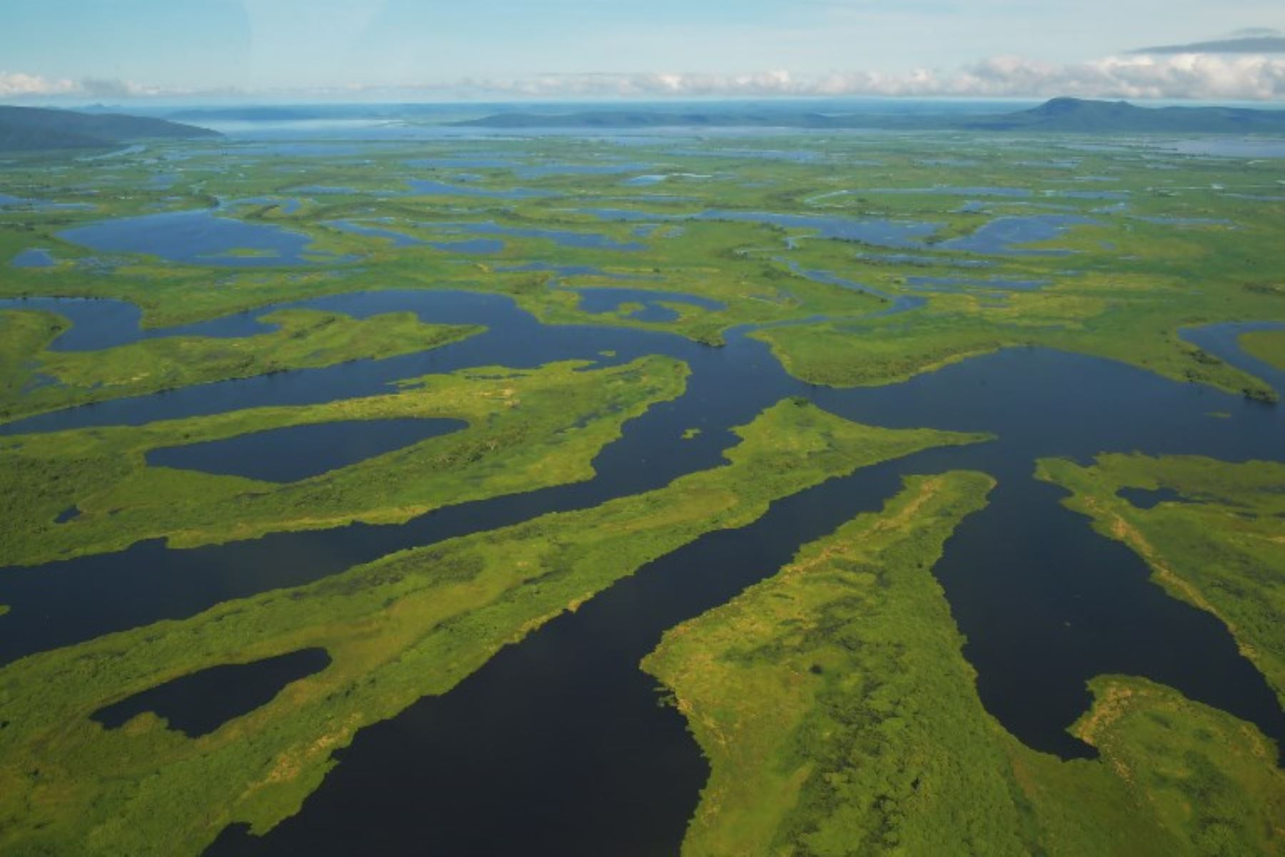 El Pantanal es el humedal más grande del planeta ubicado en Brasil, Bolivia y Paraguay, cubre más de 170.500 km2 y alberga más de 4.000 especies de plantas y animales.Foto:AFP